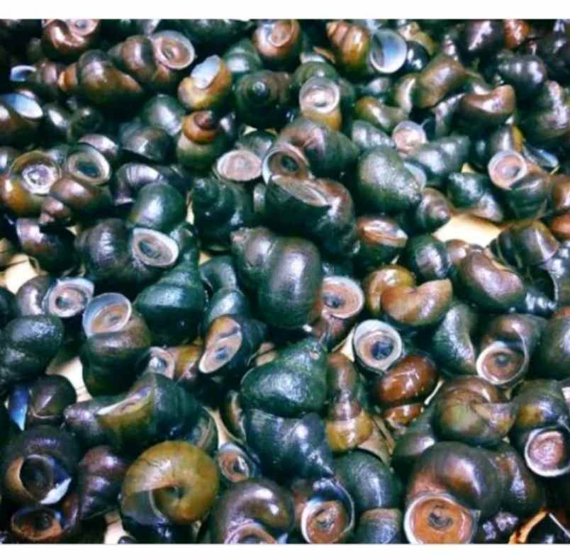 makanan dan minuman pameungpeuk