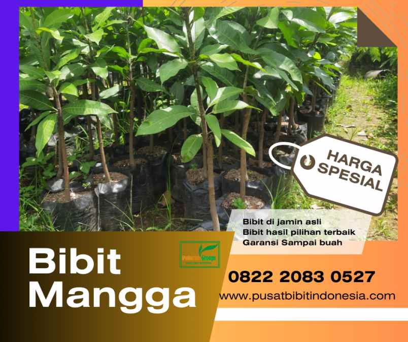 produk lain jambu