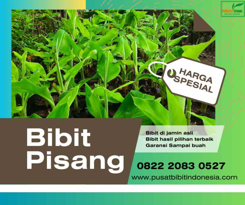 produk lain pulau tiga