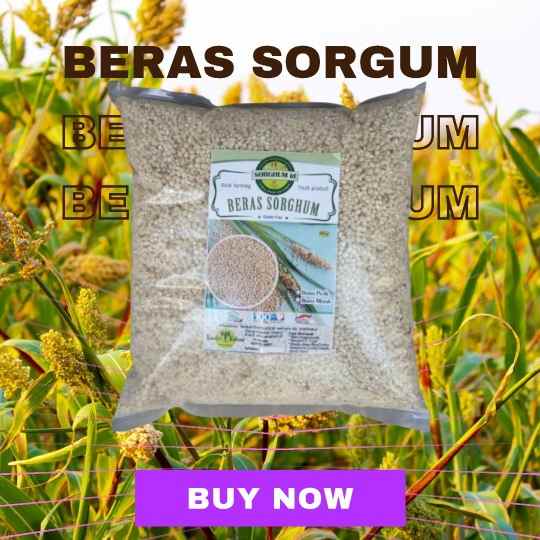 makanan dan minuman bangli