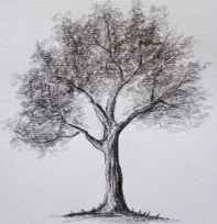 seni, gambar, sketsa, lukisan, pohon